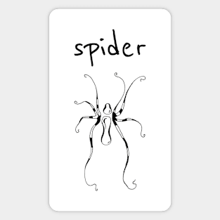 Spider Magnet